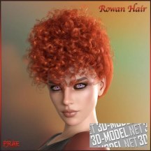 Daz3D, Poser: Prae-Rowan Hair For G8F & G9