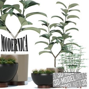 Горшки Case Study Modernica с растениями