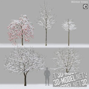 Зимние деревья, 5 вариантов