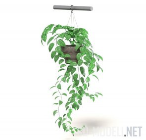 Растение в подвесном горшке Hi-Poly