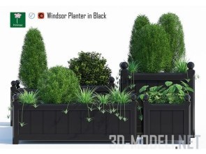 Садовые контейнеры Windsor Planter с растениями