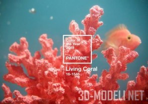 «Живой Коралл» – Pantone Color 2019, актуальный цвет предстоящего года