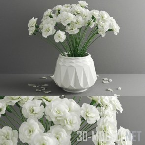 Белые гвоздики в белой вазе