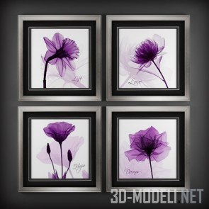 Коллекция картин с фиолетовым цветком