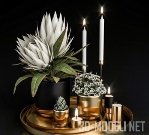 Декор с растениями, свечами и подносами