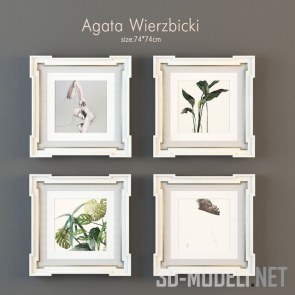 Картины от Agata Wierzbicki