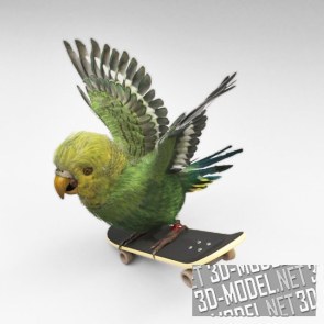 Зеленый попугай на скейте