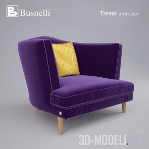 Кресло Busnelli Tresor