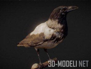 3D Scan модель вороны