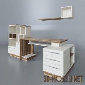 Современный набор офисной мебели – стол, шкаф и полка