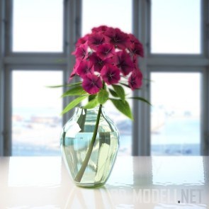 Цветущая ветка в стеклянной вазе