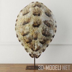 Скульптура из панциря черепахи