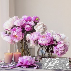 Два букета розовых пионов в стеклянных вазах