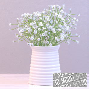 Белые цветы в белой вазе