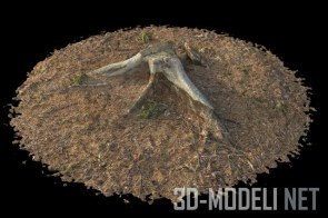 Пень в лесу 3D-скан