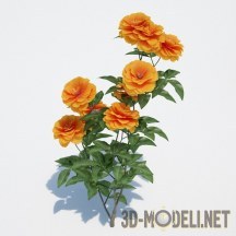 3d-модель Оранжевые цветы