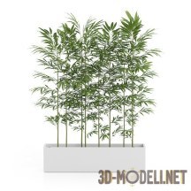 3d-модель Домашняя бамбуковая роща