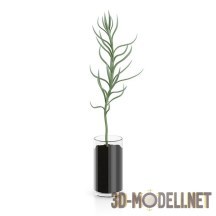 3d-модель Абстрактное комнатное растение