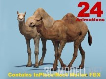 3d-ассет: African Animal - Camel (Dromedary)