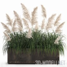 3d-модель Зеленая трава и метелки