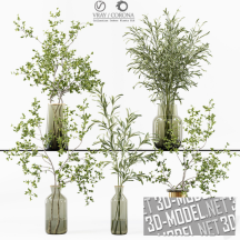 3d-модель Ветки с листьями в стеклянных вазах