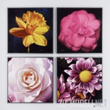 Цветы от Margaret Morrison