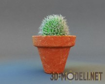 3d-модель Зеленый шарообразный кактус