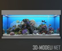 Морской аквариум с кораллами и рыбами