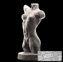 3d-модель Современный скульптурный женский торс