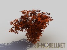 3d-модель Вишневое дерево