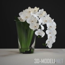 3d-модель Белая орхидея в стакане-вазе