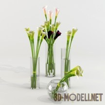 3d-модель Элегантные каллы в стеклянных вазах