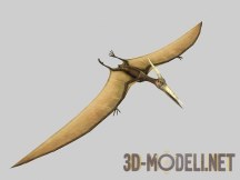 3d-модель Птерозавр