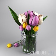 3d-модель Тюльпаны в банке
