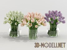 Три стеклянные вазы с тюльпанами