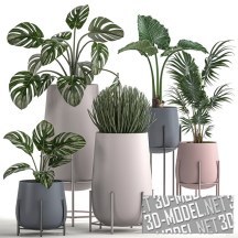 3d-модель Коллекция растений и горшки в пастельных тонах