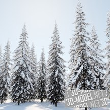 3d-модель Зимняя норвежская ель