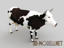 3d-модель Корова