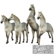 3d-модель Лошадь в четырех позах
