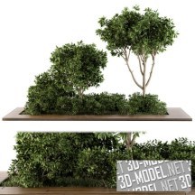 3d-модель Прямоугольная клумба с кустами и деревом