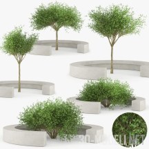 3d-модель Скамья с деревьями COMU VORA ARQUITECTURA