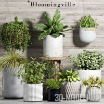 Набор с растениями в горшках Bloomimgville