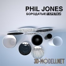 3d-модель Тарелки с бородой Phil Jones