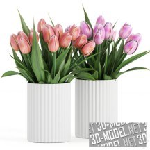 3d-модель Тюльпаны в рифленых вазах