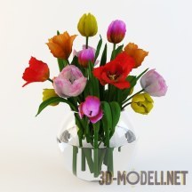 3d-модель Разноцветные тюльпаны в вазе