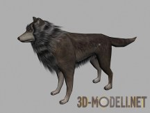 3d-модель Волк Low-Poly