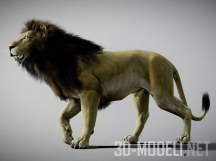 3d-модель Фигура льва