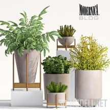 3d-модель Растения для дома (горшки Modernica Case Study Ceramics)