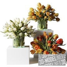 3d-модель Букет тюльпанов в стеклянной вазе