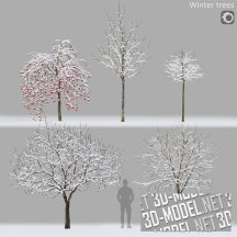 3d-модель Зимние деревья, 5 вариантов